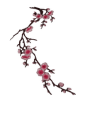 Applicazione Termoadesiva Ricamata Fiori Pesco Patch Cose
