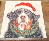 Pannelli Fantasia in Gobelin per Realizzare Cuscini e Borse Hand Made, Misura 47x47cm