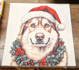 Pannelli Fantasia in Gobelin per Realizzare Cuscini e Borse Hand Made, Misura 47x47cm