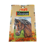 Stafil il kit Ricamo Mezzo Punto Consente di Realizzare un Quadro da Ricamare anche a Punto Croce, Stampa, Ago, Filati in Cotone Lanato e Istruzioni